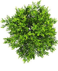 home-5-rev-inner-img-11.png